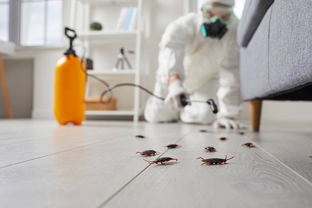Commercial Kitchen Cockroach Control in Tavernier